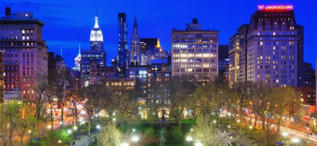 Chic One Bedroom Retreat In Downtown Manhattan نيو يورك شقة